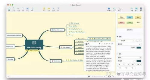 电脑上好用的思维导图软件推荐与选择指南